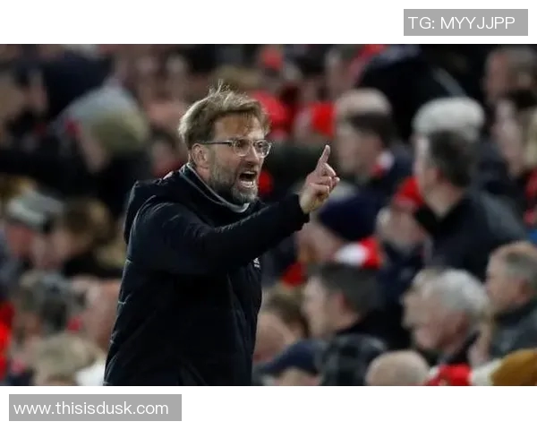 蓝军三年投入三亿再追海鸥新中锋是否值得投资分析